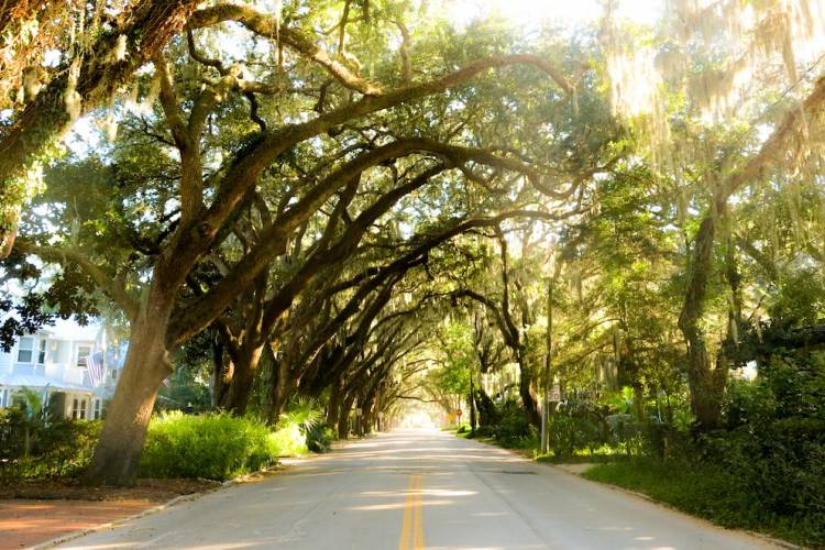 scenic road in St. Augustine, Fl