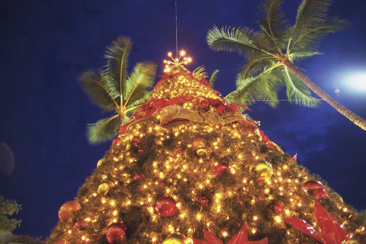 christmas tree with palm trees in background