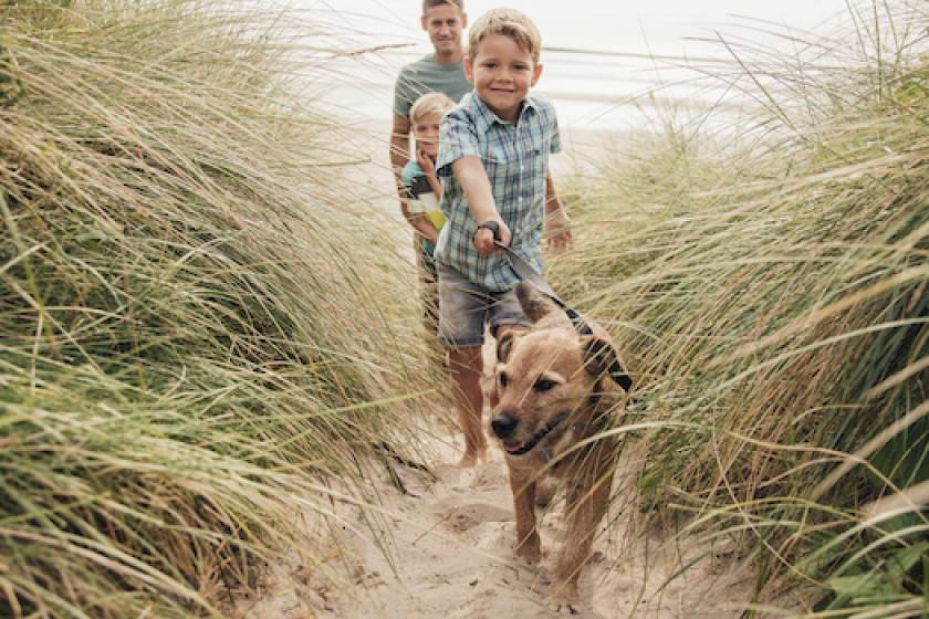 family taking dog to the beach